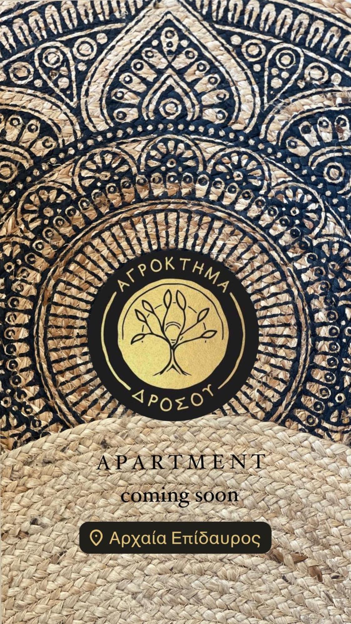 Agroktima Drosou Apartment Epidaurus Экстерьер фото